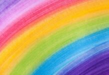 Co to jest segment B2B?